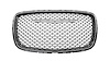 GRILLE RADIATOR - image 1
