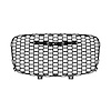 GRILLE RADIATOR - image 1