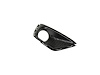 BEZEL FOG LAMP - image 1