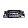 GRILLE RADIATOR - image 1
