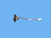 LAMP CUP HOLDER - image 3