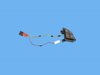 SWITCH SPEED CONTROL - image 4