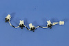 SWITCH HORN - image 1