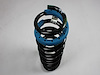 SPRING REAR COIL - image 1