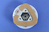 VISOR CLIP - image 1