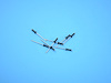 RIVET - image 1
