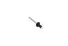 RIVET - image 4