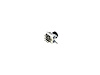 CTLANTI-LOCK BRAKE SYSTEM - image 1