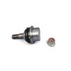 BALLJOINT LOWER CNTL ARM - image 1