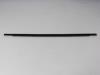 W/STRIP FRT DOOR BELT OTR - image 1