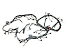 WIRING ENGINE - image 1