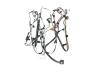 WIRING BODY - image 1