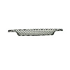 GRILLE LOWER - image 1