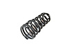 SPRING REAR COIL - image 1