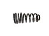 SPRING REAR COIL - image 2