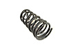 SPRING REAR COIL - image 1