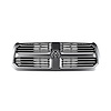 GRILLE RADIATOR - image 1