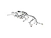 WIRING ENGINE - image 1