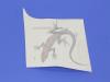 DECAL - image 1
