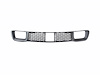 GRILLE LOWER - image 1