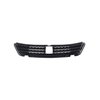 GRILLE LOWER - image 2