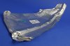SHIELD EXHAUST - image 2