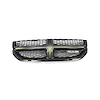 GRILLE RADIATOR - image 1