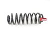 SPRING REAR COIL - image 3