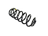 SPRING REAR COIL - image 1