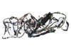 WIRING BODY - image 2