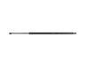 PROP/GAS LIFTGATE CYLR - image 4