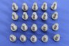 BOLT HEX FLANGE HEAD - image 2