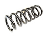 SPRING FRONT COIL - image 1
