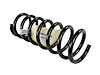 SPRING FRONT COIL - image 1
