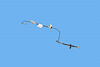 LINE BRAKE - image 1
