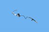 LINE BRAKE - image 2