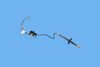 LINE BRAKE - image 2