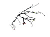 WIRING ENGINE - image 1
