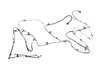 WIRNG BODY - image 2
