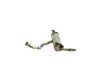 MUFFLER EXHAUST - image 4