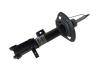 STRUT SUSPENSION - image 1