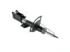 STRUT SUSPENSION - image 1