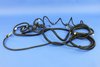 WIRING BODY RIGHT - image 2
