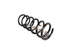 SPRING FRONT COIL - image 1