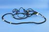 WIRING BODY RIGHT - image 1