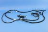WIRING BODY RIGHT - image 1