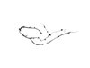 WIRING LIFTGATE - image 2