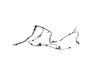 WIRING LIFTGATE - image 2