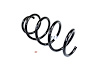 SPRING FRONT COIL - image 1