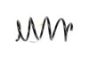 SPRING FRONT COIL - image 2